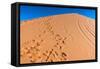 Footprints in Desert in Coral Pink Sand Dunes State Park,Utah-lorcel-Framed Stretched Canvas