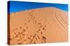 Footprints in Desert in Coral Pink Sand Dunes State Park,Utah-lorcel-Stretched Canvas