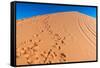 Footprints in Desert in Coral Pink Sand Dunes State Park,Utah-lorcel-Framed Stretched Canvas