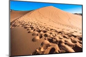 Footprints in Desert in Coral Pink Sand Dunes State Park,Utah-lorcel-Mounted Photographic Print