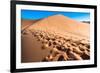 Footprints in Desert in Coral Pink Sand Dunes State Park,Utah-lorcel-Framed Photographic Print