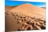 Footprints in Desert in Coral Pink Sand Dunes State Park,Utah-lorcel-Mounted Photographic Print