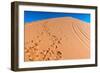 Footprints in Desert in Coral Pink Sand Dunes State Park,Utah-lorcel-Framed Photographic Print