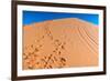 Footprints in Desert in Coral Pink Sand Dunes State Park,Utah-lorcel-Framed Photographic Print