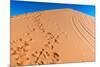 Footprints in Desert in Coral Pink Sand Dunes State Park,Utah-lorcel-Mounted Photographic Print