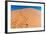 Footprints in Desert in Coral Pink Sand Dunes State Park,Utah-lorcel-Framed Photographic Print