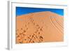 Footprints in Desert in Coral Pink Sand Dunes State Park,Utah-lorcel-Framed Photographic Print