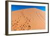 Footprints in Desert in Coral Pink Sand Dunes State Park,Utah-lorcel-Framed Photographic Print