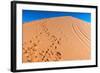 Footprints in Desert in Coral Pink Sand Dunes State Park,Utah-lorcel-Framed Photographic Print