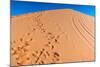 Footprints in Desert in Coral Pink Sand Dunes State Park,Utah-lorcel-Mounted Photographic Print