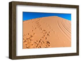 Footprints in Desert in Coral Pink Sand Dunes State Park,Utah-lorcel-Framed Photographic Print