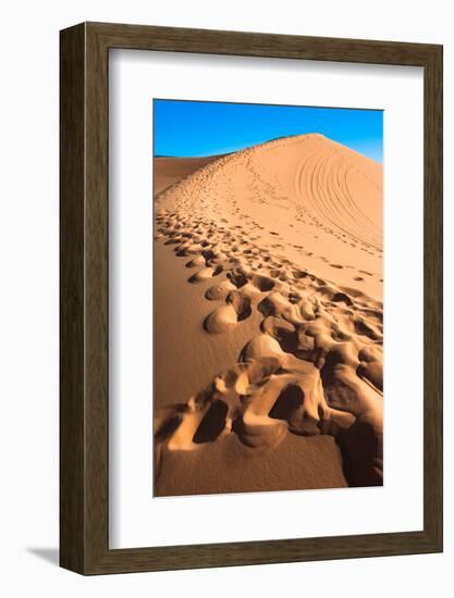 Footprints in Desert in Coral Pink Sand Dunes State Park,Utah-lorcel-Framed Photographic Print