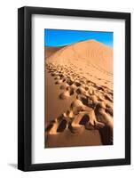 Footprints in Desert in Coral Pink Sand Dunes State Park,Utah-lorcel-Framed Photographic Print