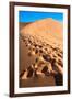 Footprints in Desert in Coral Pink Sand Dunes State Park,Utah-lorcel-Framed Photographic Print