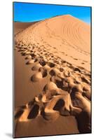 Footprints in Desert in Coral Pink Sand Dunes State Park,Utah-lorcel-Mounted Photographic Print