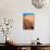 Footprints in Desert in Coral Pink Sand Dunes State Park,Utah-lorcel-Photographic Print displayed on a wall