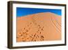 Footprints in Desert in Coral Pink Sand Dunes State Park,Utah-lorcel-Framed Photographic Print