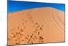 Footprints in Desert in Coral Pink Sand Dunes State Park,Utah-lorcel-Mounted Photographic Print