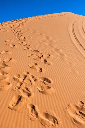 https://imgc.allpostersimages.com/img/posters/footprints-in-desert-in-coral-pink-sand-dunes-state-park-utah_u-L-Q104K1O0.jpg?artPerspective=n