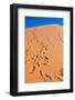 Footprints in Desert in Coral Pink Sand Dunes State Park,Utah-lorcel-Framed Photographic Print