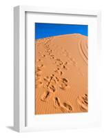 Footprints in Desert in Coral Pink Sand Dunes State Park,Utah-lorcel-Framed Photographic Print