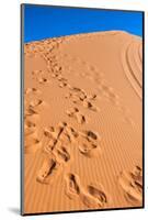 Footprints in Desert in Coral Pink Sand Dunes State Park,Utah-lorcel-Mounted Photographic Print