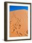 Footprints in Desert in Coral Pink Sand Dunes State Park,Utah-lorcel-Framed Photographic Print