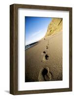 Footprints in Sand Along California's Lost Coast Trail, King Range Conservation Area, California-Bennett Barthelemy-Framed Photographic Print
