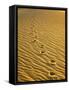 Footprints in Sand Dunes-Owaki - Kulla-Framed Stretched Canvas