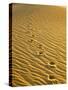 Footprints in Sand Dunes-Owaki - Kulla-Stretched Canvas