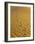 Footprints in Sand Dunes-Owaki - Kulla-Framed Photographic Print