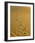 Footprints in Sand Dunes-Owaki - Kulla-Framed Photographic Print