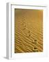 Footprints in Sand Dunes-Owaki - Kulla-Framed Photographic Print