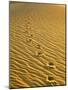 Footprints in Sand Dunes-Owaki - Kulla-Mounted Photographic Print