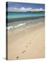 Footprints in Sand on Natadola Beach, Coral Coast, Viti Levu, Fiji, South Pacific-David Wall-Stretched Canvas