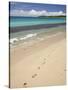 Footprints in Sand on Natadola Beach, Coral Coast, Viti Levu, Fiji, South Pacific-David Wall-Stretched Canvas