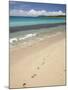 Footprints in Sand on Natadola Beach, Coral Coast, Viti Levu, Fiji, South Pacific-David Wall-Mounted Premium Photographic Print