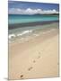 Footprints in Sand on Natadola Beach, Coral Coast, Viti Levu, Fiji, South Pacific-David Wall-Mounted Photographic Print