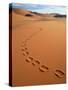 Footprints in sand-Frans Lemmens-Stretched Canvas