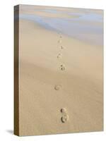 Footprints In Sand-Adrian Bicker-Stretched Canvas