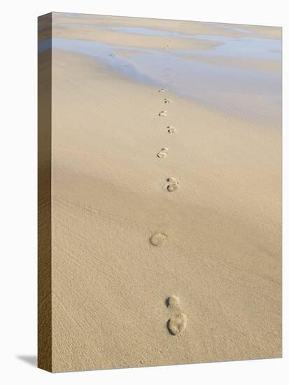 Footprints In Sand-Adrian Bicker-Stretched Canvas