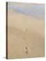 Footprints In Sand-Adrian Bicker-Stretched Canvas