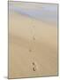 Footprints In Sand-Adrian Bicker-Mounted Photographic Print