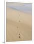 Footprints In Sand-Adrian Bicker-Framed Photographic Print