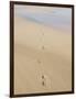 Footprints In Sand-Adrian Bicker-Framed Photographic Print