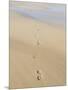 Footprints In Sand-Adrian Bicker-Mounted Photographic Print