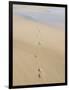 Footprints In Sand-Adrian Bicker-Framed Photographic Print