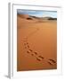 Footprints in sand-Frans Lemmens-Framed Photographic Print