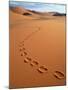 Footprints in sand-Frans Lemmens-Mounted Photographic Print