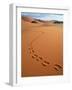 Footprints in sand-Frans Lemmens-Framed Photographic Print